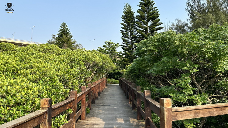 新豐紅樹林步道